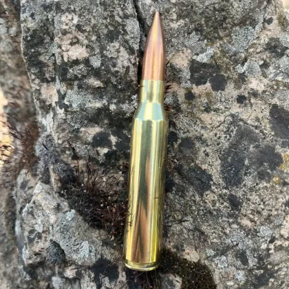 Home Real once-fired inert .338 Lapua Magnum bullet round